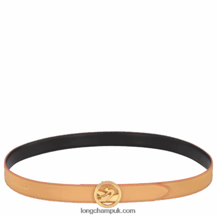 Box Trot Ladie's belt Women Longchamp 8RTH80939 Vegetal/Black