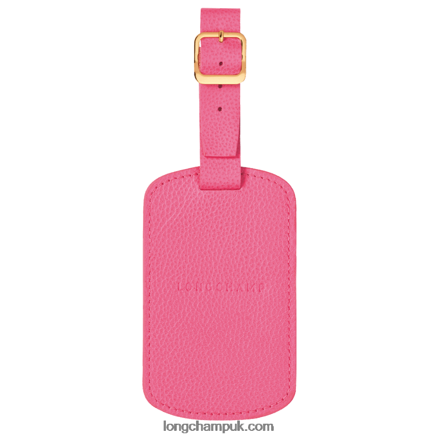 Le Foulonne Luggage tag Women Longchamp 8RTH80856 Candy - Image 1