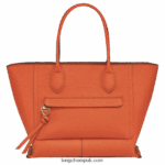 Mailbox Handbag L Women Longchamp 8RTH80174 Carot