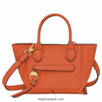 Mailbox Handbag S Women Longchamp 8RTH80166 Carot
