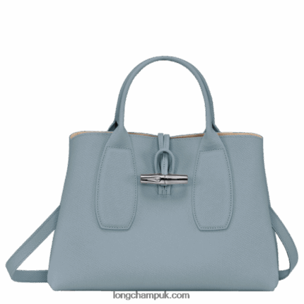 Roseau Handbag M Women Longchamp 8RTH80107 Cloud Blue