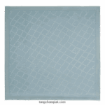 Spring/Summer 2023 Collection Shawl Women Longchamp 8RTH801003 Cloud Blue