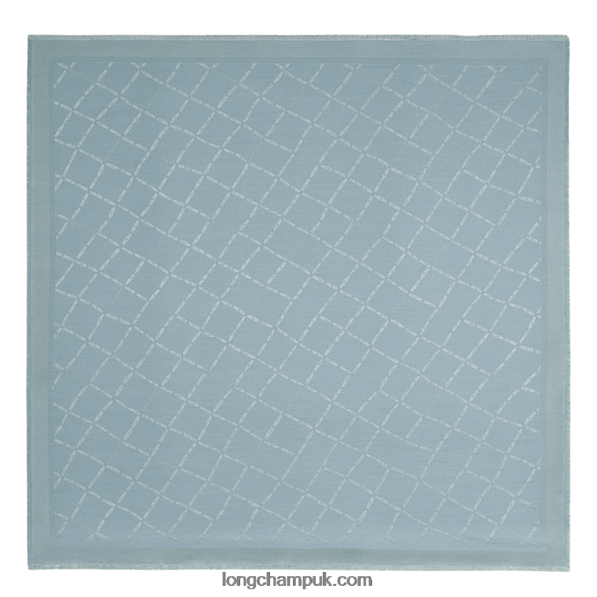 spring_summer_2023_collection_shawl_women_longchamp_8rth801003_cloud_blue.png Spring/Summer 2023 Collection Shawl Women Longchamp 8RTH801003 Cloud Blue - Image 1