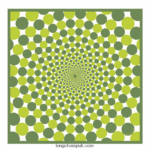 Spring/Summer 2023 Collection Silk scarf 70 Women Longchamp 8RTH801036 Grass/Green Light - Image 3