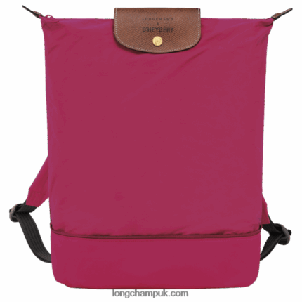 X D'heygere Crossbody bag/Backpack Women Longchamp 8RTH80325 Pink